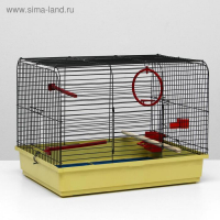 Клетка для птиц "Грация", 49 х 36 х 37 см, микс цветов Клетка для птиц "Грация", 49 х 36 х 37 см, микс цветов