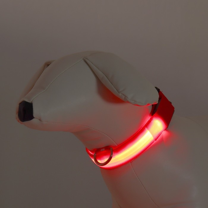 Ошейник с подсветкой размер S, ОШ 35-43 х 2,5 см, 3 режима свечения красный Ошейник с подсветкой размер S, ОШ 35-43 х 2,5 см, 3 режима свечения красный