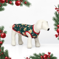 Толстовка "Пряня", размер S (ДС 25, ОШ 25, ОГ 35 см), зелёная Толстовка "Пряня", размер S (ДС 25, ОШ 25, ОГ 35 см), зелёная