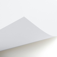 Картон белый, А4, 8 листов, мелованный, односторонний, в папке, 210, г/м&sup2;, Коты Аристократы