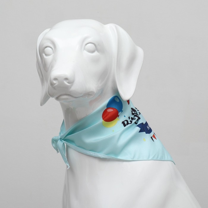 Платок для животных Платок для животных "С днём рождения", 15 х 12 х 1 см, голубой