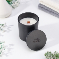 Ароматическая свеча "Breesal, TERRA MYSTICA", Апельсин, Груша, Ягоды Ароматическая свеча "Breesal, TERRA MYSTICA", Апельсин, Груша, Ягоды