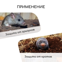 Сетка оцинкованная, сварная, 10 × 1 м, ячейка 12,5 × 12,5 мм, d = 1 мм, Greengo Сетка оцинкованная, сварная, 10 × 1 м, ячейка 12,5 × 12,5 мм, d = 1 мм, Greengo