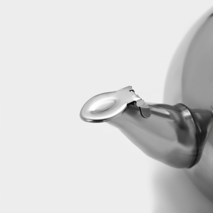 Чайник из нержавеющей стали «Арес», 1,2 л, металлическое сито, цвет хромированный Чайник из нержавеющей стали «Арес», 1,2 л, металлическое сито, цвет хромированный