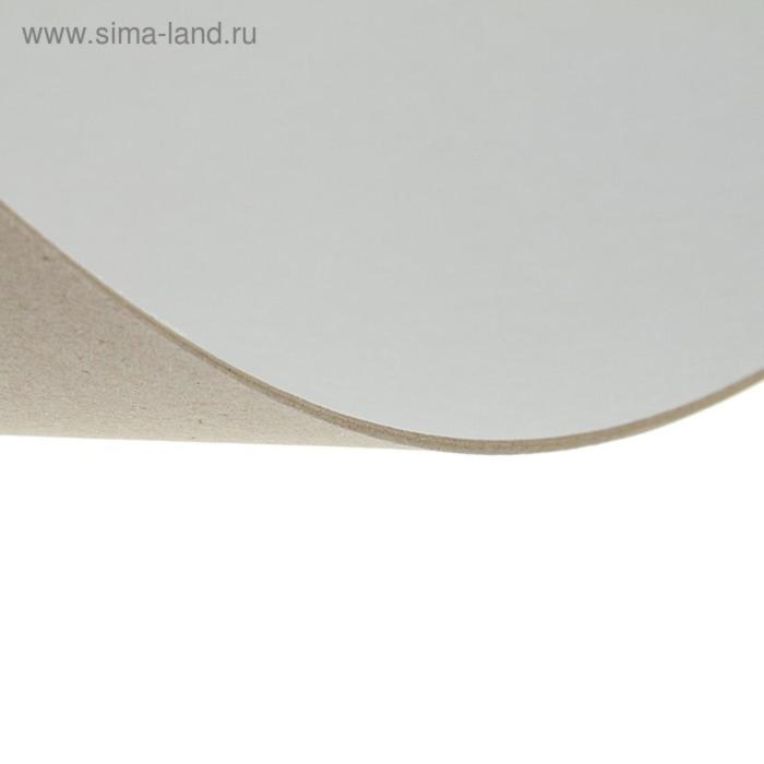 Картон переплётный 2.0 мм, 30 х 40 см, 20 листов, 1250 г/м&sup2;, белый