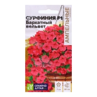 Семена Сурфиния "Бархатный вельвет", F1, 5 шт. Семена Сурфиния "Бархатный вельвет", F1, 5 шт.