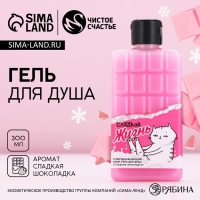 Гель для душа &laquo;Сладкая жизнь&raquo;, 300 мл, аромат шоколада, ЧИСТОЕ СЧАСТЬЕ