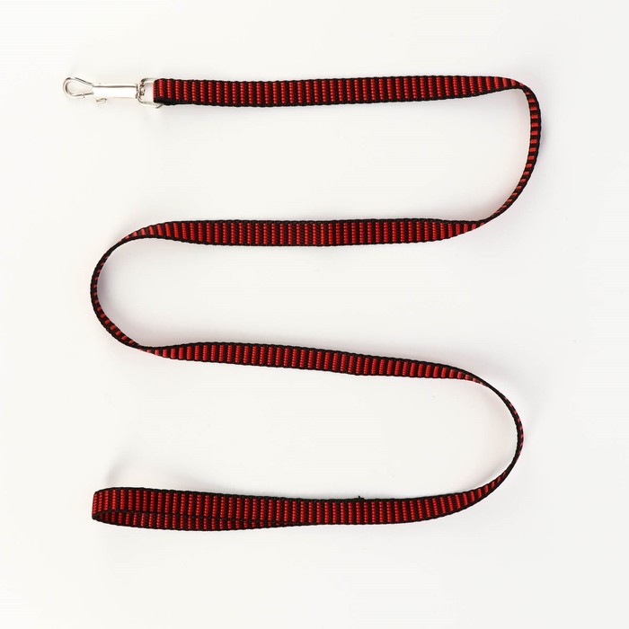 Комплект амуниции рельефный, 1,5 см, шлейка 36-49 см, поводок 120 см, красно-чёрный Комплект амуниции рельефный, 1,5 см, шлейка 36-49 см, поводок 120 см, красно-чёрный