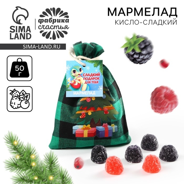 Новый год! Мармелад в мешке «Сладкий подарок», в виде ягод, 50 г Новый год! Мармелад в мешке «Сладкий подарок», в виде ягод, 50 г