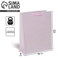 Пакет подарочный ламинированный, упаковка, &laquo;Розовый&raquo;, MS 18 х 23 х 8 см