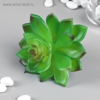 Искусственный суккулент для создания флорариума "Молодило Silver Song" 10,5х10х10 см Искусственный суккулент для создания флорариума "Молодило Silver Song" 10,5х10х10 см