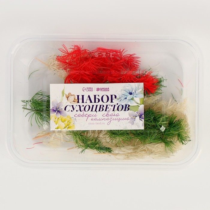 Набор сухоцветов &laquo;Яркий день&raquo;, цвет МИКС