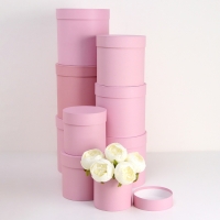 Набор круглых коробок 9 в 1 Пудра,23х23 - 13-13 см Набор круглых коробок 9 в 1 Пудра,23х23 - 13-13 см