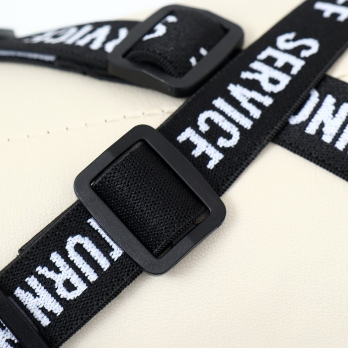 Комбинезон-штаны для собак,  размер S (ДС 31, ОТ 34 см), мятный