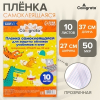Пленка самоклеящаяся, 37 х 27 см, прозрачная, 10 листов, 50 мкм Пленка самоклеящаяся, 37 х 27 см, прозрачная, 10 листов, 50 мкм