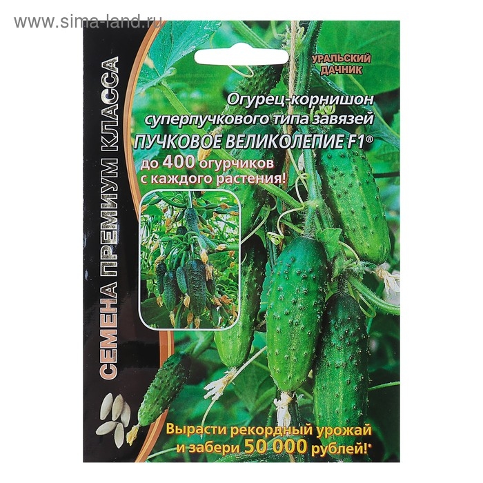Семена Огурец Семена Огурец "Пучковое великолепие" F1 скороспелый, пучковый, партенокарпический, 5 шт