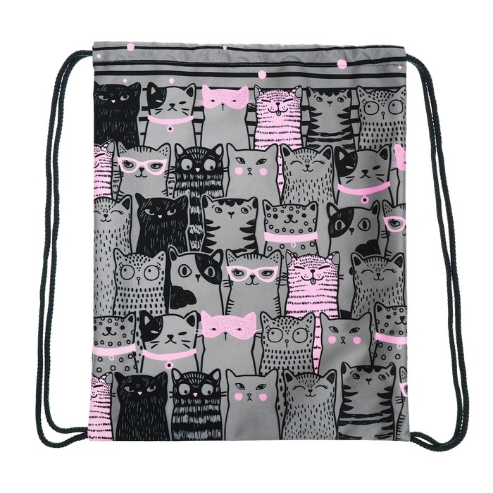 Мешок для обуви 435 х 360 мм, Stavia (плотность 600D с водоотталкивающей ПУ-пропиткой) Мешок для обуви 435 х 360 мм, Stavia (плотность 600D с водоотталкивающей ПУ-пропиткой) "Кошачья семейка"