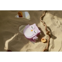 Ланч - бокс пластиковый с ложкой&laquo;Совушка&raquo;, 2 отделения: 300 мл, 450 мл, цвет МИКС