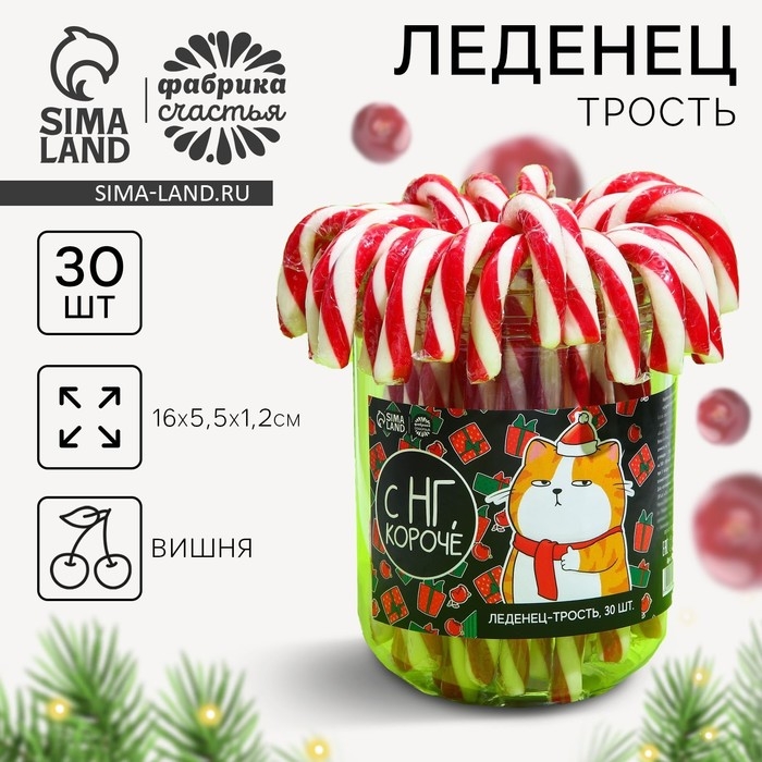 Новый год! Леденец трость &laquo;С НГ, короче&raquo;, 26 г.