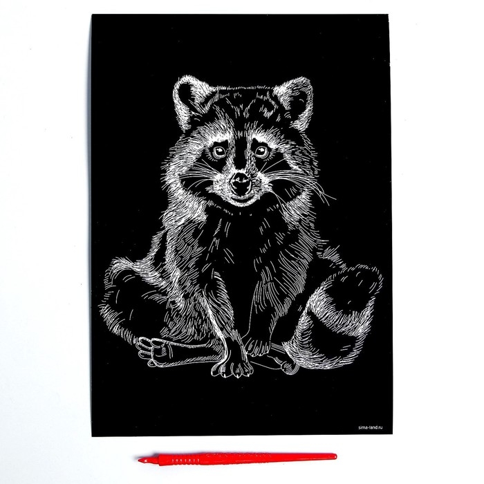 Гравюра на подложке «Енот» с металлическим эффектом «серебро» А4 Гравюра на подложке «Енот» с металлическим эффектом «серебро» А4