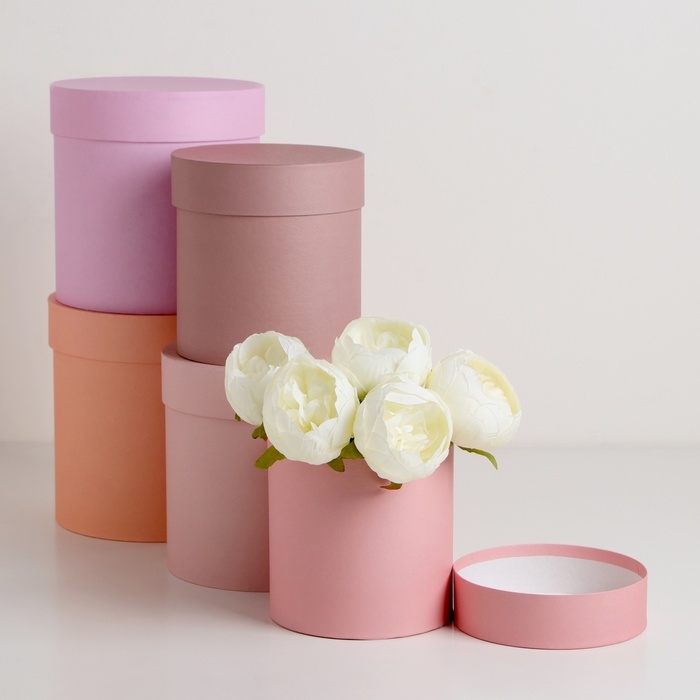 Набор шляпных коробок 5 в 1 «Крема», 20 × 19,5, 15 х 15 см Набор шляпных коробок 5 в 1 «Крема», 20 × 19,5, 15 х 15 см