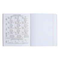 Тетрадь предметная АНГЛИЙСКИЙ ЯЗЫК, 48 листов в клетку, ErichKrause Manga, обложка мелованный картон, твин-лак, блок офсет 100% белизна, инфо-блок