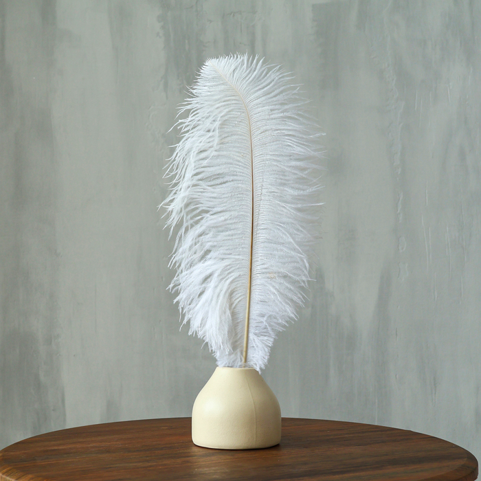 Перо для декора, длина: от 45 до 50 см, цвет белый Перо для декора, длина: от 45 до 50 см, цвет белый