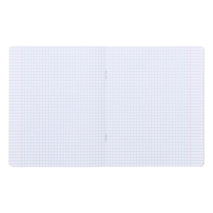 Комплект тетрадей из 10 штук, 18 листов в клетку Calligrata Комплект тетрадей из 10 штук, 18 листов в клетку Calligrata "Домашние животные", обложка мелованный картон, блок офсет, 5 видов по 2 штуки