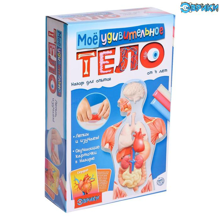 Набор для опытов &laquo;Моё удивительное тело&raquo;