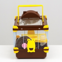 Клетка для грызунов "Пижон", 31 х 24 х 30 см, коричневая Клетка для грызунов "Пижон", 31 х 24 х 30 см, коричневая