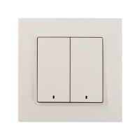 Выключатель TOT Elegant, 10 А, 2 кл., с подсветкой, скрытый, белый