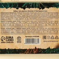 Набор &laquo;Будьте здоровы&raquo;: чай 20 г., варенье из сосновых шишек 30 г., бальзам 100 мл.