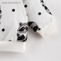 Комплект: джемпер и брюки Крошка Я &laquo;Еноты&raquo;, рост 80-86 см