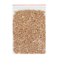 Лоток для проращивания травы кошкам 26,5 х 17,5 х 5 см Лоток для проращивания травы кошкам 26,5 х 17,5 х 5 см