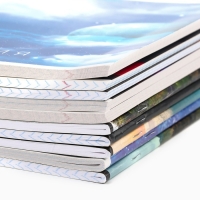 Набор тетрадей 48 листов, 10 предметов со справ. мат. в обечайке &laquo;1 сентября:Предметы&raquo;