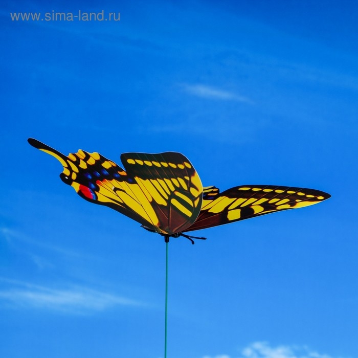 Штекер Штекер "Бабочка Альпина" 21х22см/42 см, МИКС