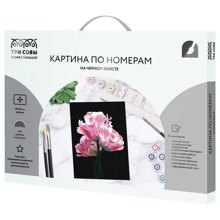 Картина по номерам &laquo;Розовые цветы&raquo;, 30 &times; 40 см, на черном холсте