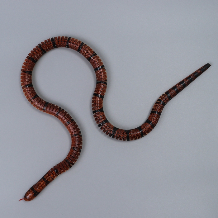 Деревянная игрушка &laquo;Змея&raquo;, 100 &times; 2 &times; 2 см