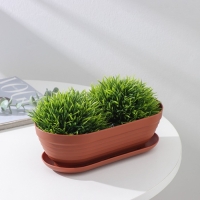 Горшок для кактуса с поддоном &laquo;Алиса&raquo;, 0,9 л, h=7 см, цвет терракот