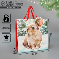 Пакет подарочный новогодний &laquo;Зайчик&raquo;, 30 х 30 х 15 см, Новый год