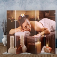 Ширма "Массаж", 250 х 160 см Ширма "Массаж", 250 х 160 см