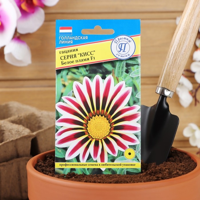Семена цветов Гацания Семена цветов Гацания "Кисс" F1 Белое пламя, О, 5 шт
