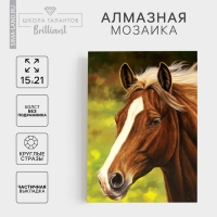 Алмазная мозаика с частичным заполнением на холсте &laquo;Лошадь&raquo;, 15 х 21 см