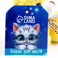 Брелок &laquo;Медведь&raquo;, 8 см, цвет МИКС