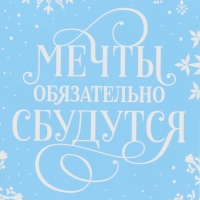 Пакет под бутылку, треугольный &laquo;Мечты&raquo;, 13 х 32 х 11.3 см, Новый год