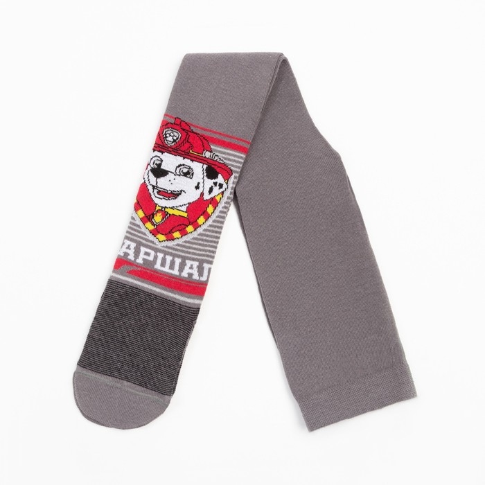 Колготки детские &laquo;Маршал&raquo; PAW PATROL, рост 98-104 см