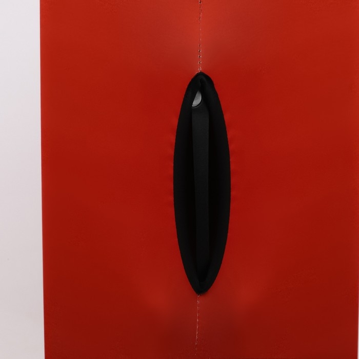 Чехол на чемодан 28 Чехол на чемодан 28", «Спорт Российский»