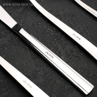 Набор столовый &laquo;Торжество&raquo;, толщина 2 мм, декоративная коробка, 48 предметов, цвет серебряный