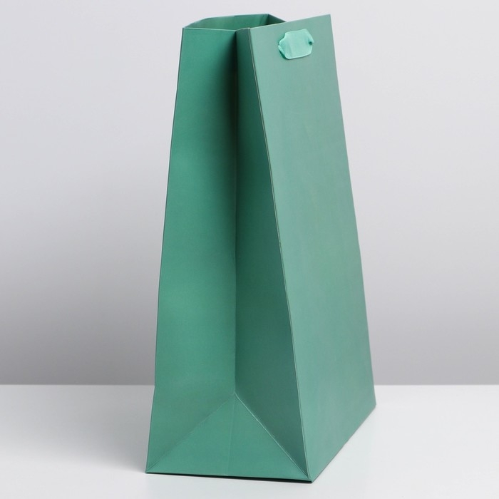 Пакет подарочный ламинированный, упаковка, «Тиффани», L 31 х 40 х 11.5 см Пакет подарочный ламинированный, упаковка, «Тиффани», L 31 х 40 х 11.5 см