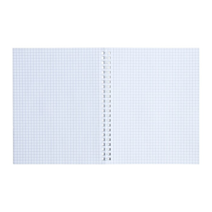 Тетрадь 48 листов в клетку на гребне Тетрадь 48 листов в клетку на гребне "Коричневая. METALLIC", обложка бумвинил